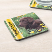 ハナビシソウパッチのチョコレート実験室 コースター (左側)