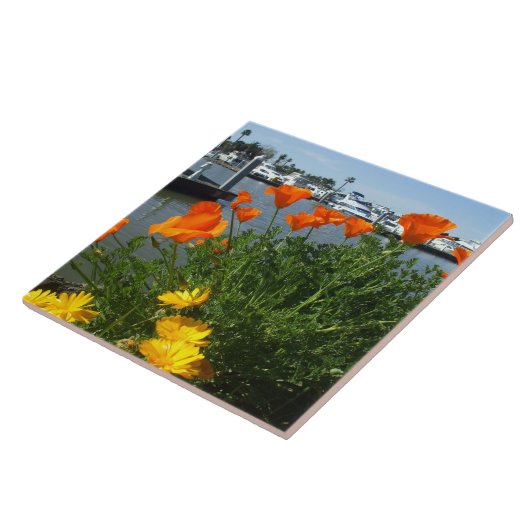 ハナビシソウ タイル (側面)