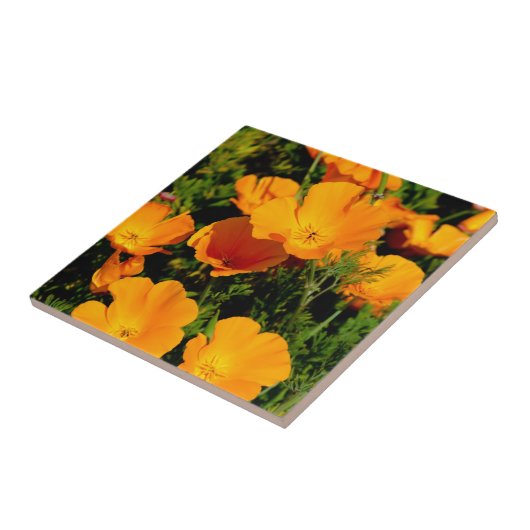 "ハナビシソウ" タイル (側面)