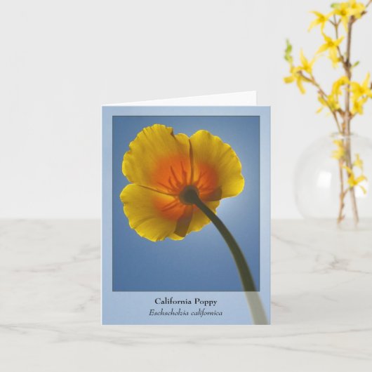 ハナビシソウ-原産のNotecard カード (黄色い花)