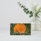 ハナビシソウ 名刺 (スタンド正面)