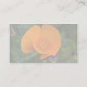 ハナビシソウ 名刺 (裏面)