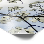 ハナミズキと青空 フォトプリント            (角)