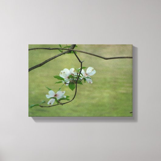 ハナミズキのウォールアート キャンバスプリント (正面)