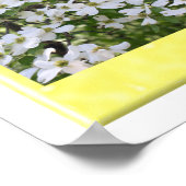 ハナミズキの伝説 ポスター (角)