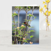 ハナミズキの木にハミングする鳥 カード (黄色い花)