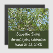 ハナミズキの枝春 (正面/裏面)