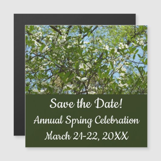 ハナミズキの枝春 (正面/裏面)