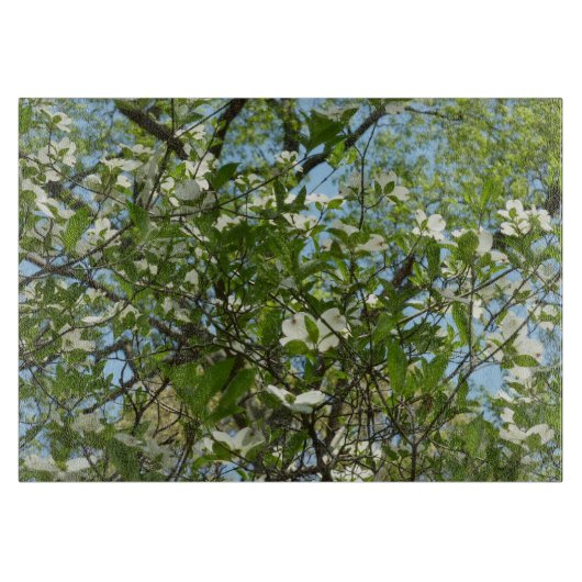 ハナミズキの枝春 カッティングボード (正面)