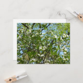 ハナミズキの枝春 カード (正面/裏面インサイチュ)