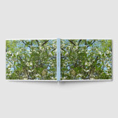 ハナミズキの枝春 ゲストブック (全面)