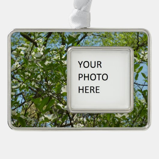 ハナミズキの枝春 シルバープレートフレームオーナメント (正面)