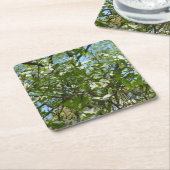 ハナミズキの枝春 スクエアペーパーコースター (アングル)