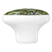 ハナミズキの枝春 セラミックノブ (側面)