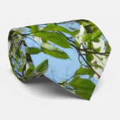 ハナミズキの枝春 ネクタイ (ロール)