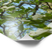 ハナミズキの枝春 フォトプリント            (角)