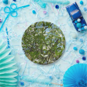 ハナミズキの枝春 ペーパープレート (パーティー)