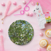 ハナミズキの枝春 ペーパープレート (パーティー)