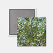 ハナミズキの枝春 マグネット (正面/裏面)