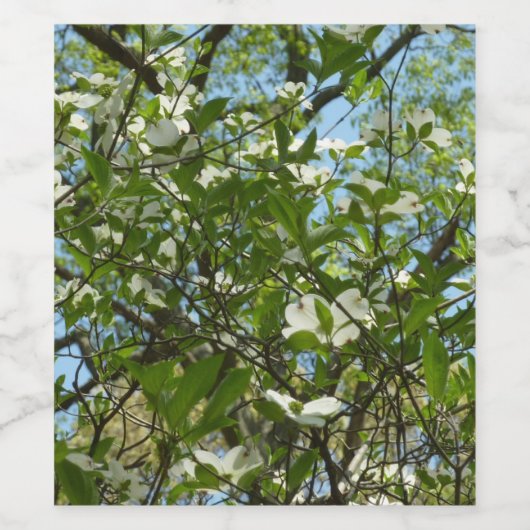 ハナミズキの枝春 ワインラベル (シングルラベル)