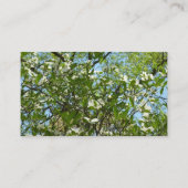 ハナミズキの枝春 名刺 (裏面)