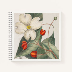 ハナミズキの植物画 18世紀の芸術 ノートブック