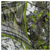 ハナミズキの泡….. ファブリック (見本)