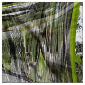 ハナミズキの泡….. ファブリック (クローズアップ)