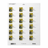 ハナミズキの滝の住所 シール (フルシート)