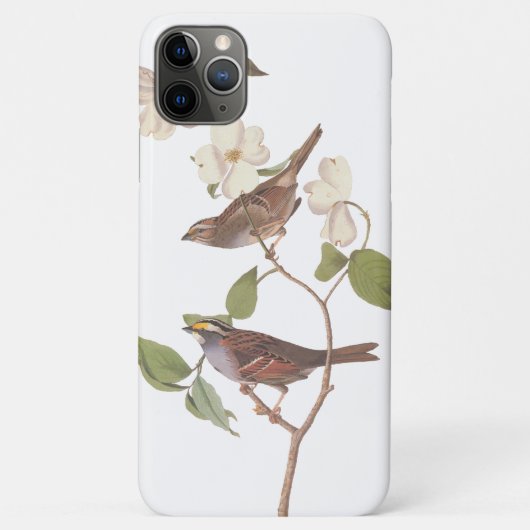 ハナミズキの白い喉を持つスズメ Case-Mate iPhoneケース (裏面)
