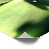 ハナミズキの白い花のラディバグのクローズアップ ポスター (角)