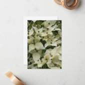 ハナミズキの白い花 ノートカード (正面/裏面インサイチュ)