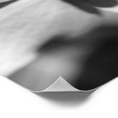 ハナミズキの花のラディバグ黒白 ポスター (角)