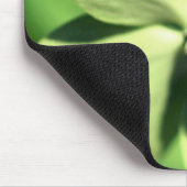 ハナミズキの花のラディバグ マウスパッド (コーナー)