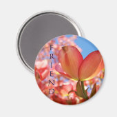 ハナミズキの花の友達マグネット マグネット (正面/裏面)