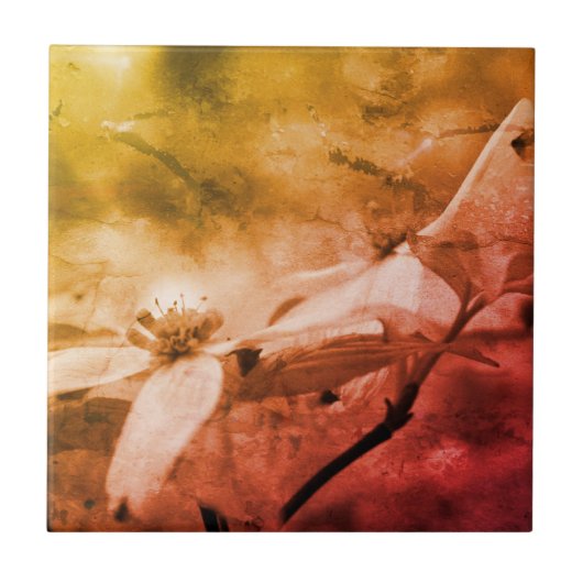 ハナミズキの花の白黒ヴィンテージ タイル (正面)