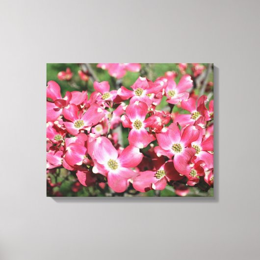 ハナミズキの花 キャンバスプリント (正面)