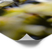 ハナミズキの花 ポスター (角)