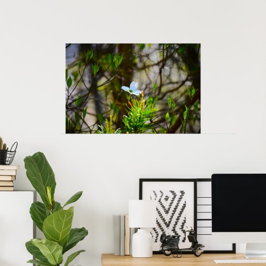 ハナミズキの花 ポスター (ホームオフィス)