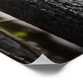 ハナミズキの花 ポスター (角)