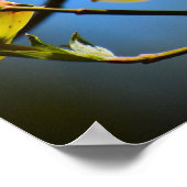 ハナミズキの花 ポスター (角)