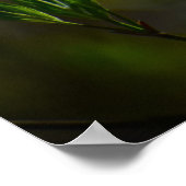 ハナミズキの花 ポスター (角)