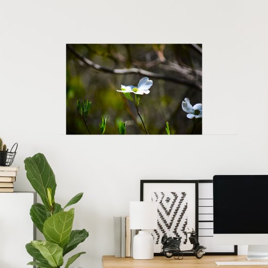 ハナミズキの花 ポスター (ホームオフィス)