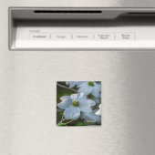 ハナミズキ磁石 マグネット (インサイチュ (食洗機))