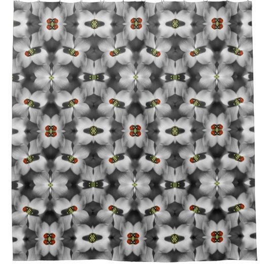 ハナミズキ花のラディバグ抽象芸術自然 シャワーカーテン (正面)