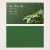 ハナミズキ花フローラ (正面&裏面)