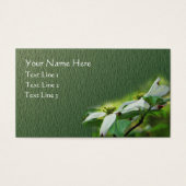 ハナミズキ花フローラ (正面)