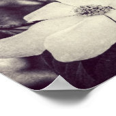 ハナミズキ花ポスター ポスター (角)