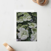 ハナミズキ花 ノートカード (正面/裏面インサイチュ)