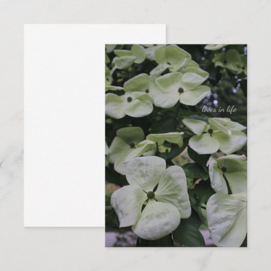 ハナミズキ花 ノートカード (正面/裏面)